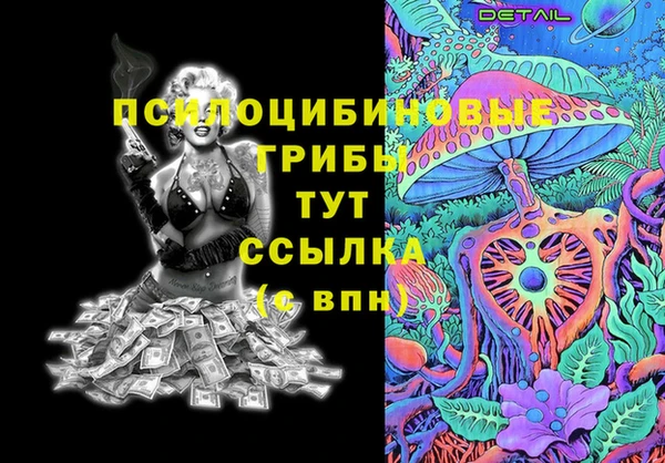 PSILOCYBIN Богородицк